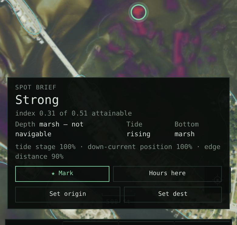 A tapped spot's brief reading Strong: presence, depth, tide, bottom and the factors behind the score